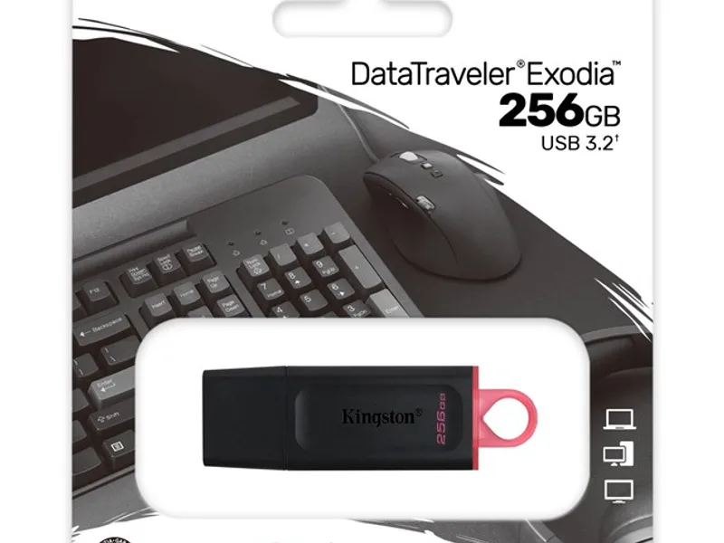 Kingston 256GB Exodia Usb3.2 Gen1 DTX/256GB