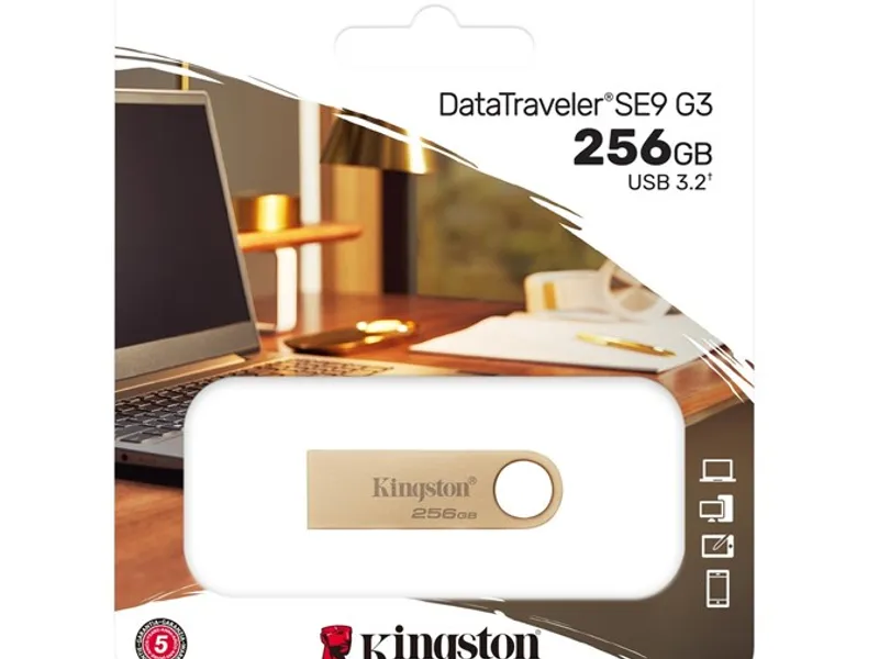 Kingston 256GB Usb3.2 Gen1 DTSE9G3/256GB