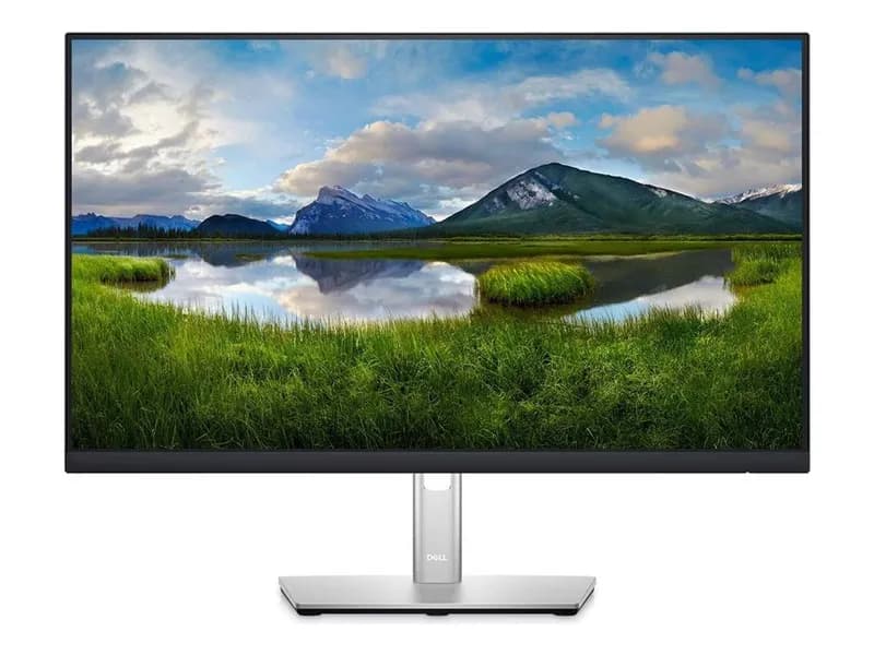Dell 23.8" P2422H 60Hz 5ms (Vga+Hdmı+Display) Fhd IPS Pivot Yükseklik Ayarlı Monitör