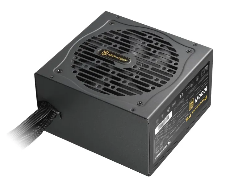 High Power 1000W 80+ Gold PCIE5.1 (Performance)